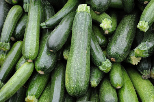 Ways to Cooke Zucchini | Your Ultimate Summer Guide