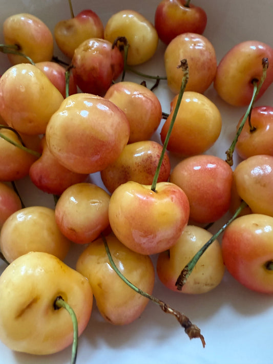 How to Store Summer Fruit (So It Actually Lasts)